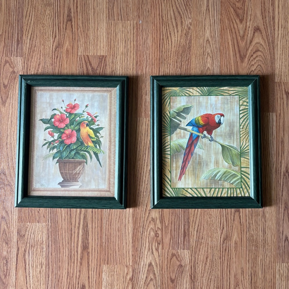 Vintage Parrot Illustration Prints Set, Ron Jenkins 8x10 Botanical Tropical Art